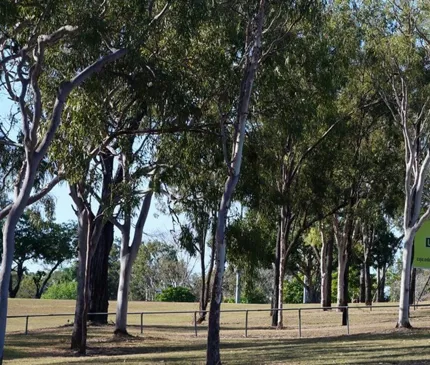 CQU Capex Project - IES Summary August 2020