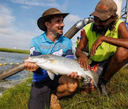 Humpty Doo Barramundi - IES Summary February 2021